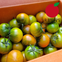[오늘의 과일] 대저 토마토 2.5kg(M/특품)