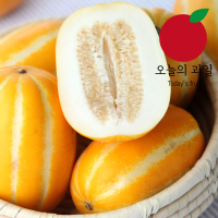 [오늘의 과일] [정품] 성주 참외 1kg(소/6~7과)/개당 130g 이상