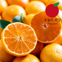 [오늘의 과일] 블랙라벨 고당도 오렌지 10입(중과/개당 190g 내외)