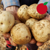 [오늘의 과일] 국내산 감자 3kg(중소/70-100g)