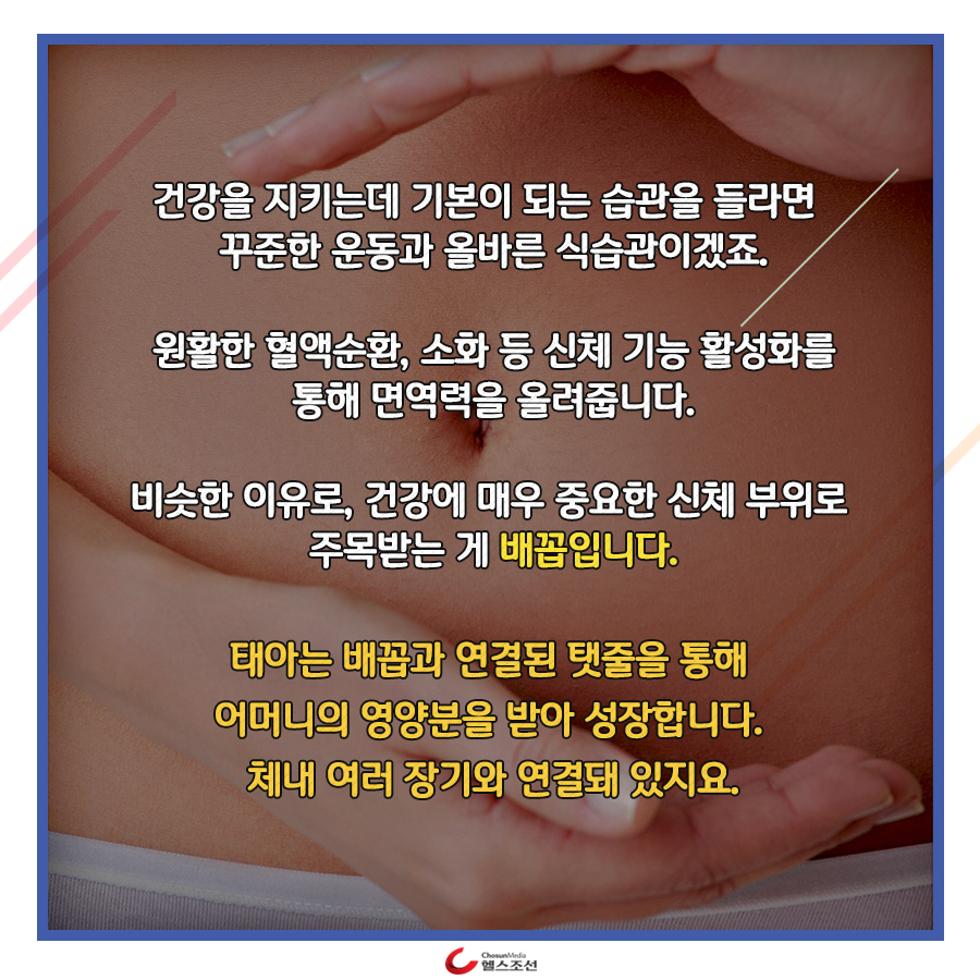 editor이미지