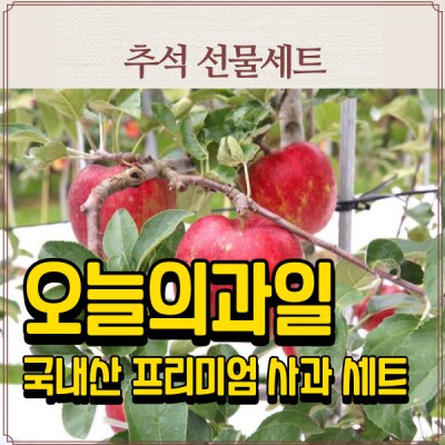 [추석특선] [오늘의과일] 국내산 프리미엄 사과 선물세트 (사과 9개)